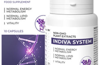 InDiva System